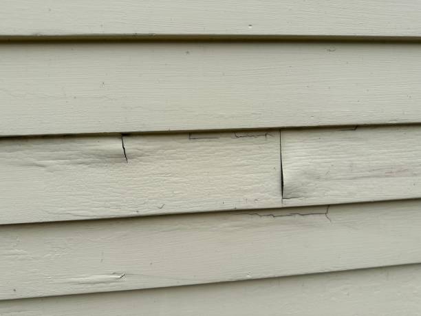 Best Insulated Siding Installation  in Cherryville, NC